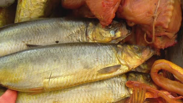 Variedad de peces de mar en el mostrador en una tienda de pescado . — Vídeos de Stock