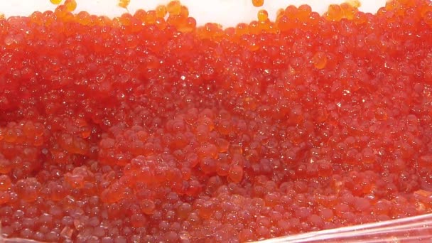 Caviar salgado granulado Pacífico peixe vermelho selvagem como fundo alimentar . — Vídeo de Stock