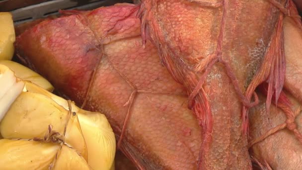 Variety of sea fishes on the counter in a fish shop. — Stock Footage Variety of sea fishes on the counter in a fish shop. Video Clip