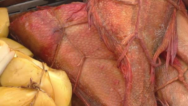 Variedad de peces de mar en el mostrador en una tienda de pescado . — Vídeos de Stock