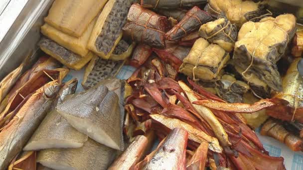 Variety of sea fishes on the counter in a fish shop. — Stock Footage Variety of sea fishes on the counter in a fish shop. Royalty Free Stock Video