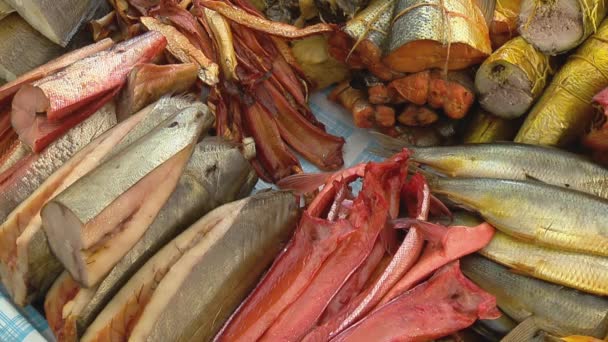 Variedad de peces de mar en el mostrador en una tienda de pescado . — Vídeos de Stock