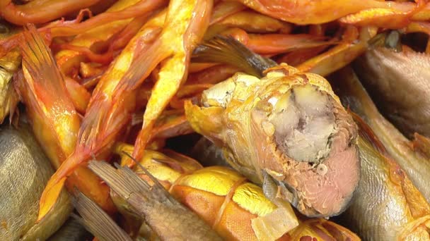 Variedad de peces de mar en el mostrador en una tienda de pescado . — Vídeo de stock