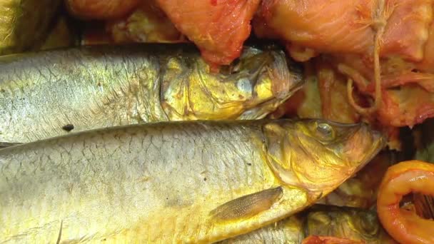 Variété de poissons de mer sur le comptoir dans une poissonnerie . — Video