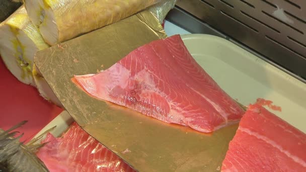 Variety of sea fishes on the counter in a fish shop. — Stock Footage Variety of sea fishes on the counter in a fish shop. Stock Video