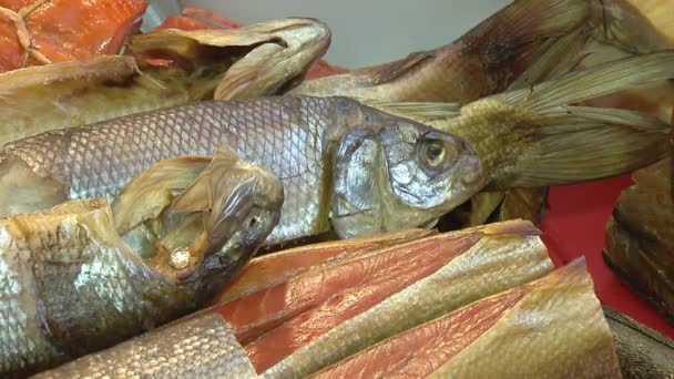 Variety of sea fishes on the counter in a fish shop. — Stock Footage Variety of sea fishes on the counter in a fish shop. Royalty Free Stock Video