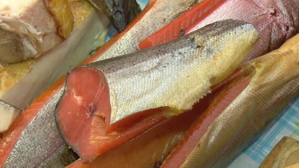 Variety of sea fishes on the counter in a fish shop. — Stock Footage Variety of sea fishes on the counter in a fish shop. Royalty Free Stock Footage