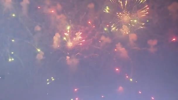 Színes tűzijáték robbanás éjjel — Stock videók
