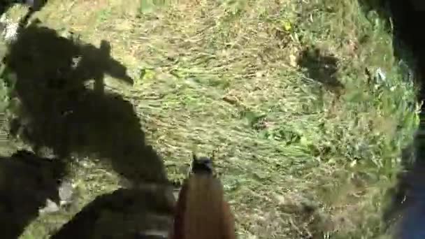 Soldati in azione in un gioco di airsoft con la sua arma — Video Stock