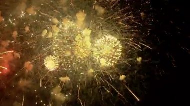 Gece renkli havai fişek patlaması