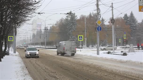 Vuile Winterweg met plassen en sneeuw. — Stockvideo