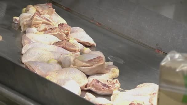 Industria di trasformazione del pollame. Linea di produzione di carne di pollo cruda . — Video Stock