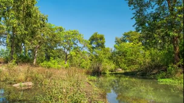 Parc national de Kanha, Inde. Paysage avec rivière et arbres forestiers.