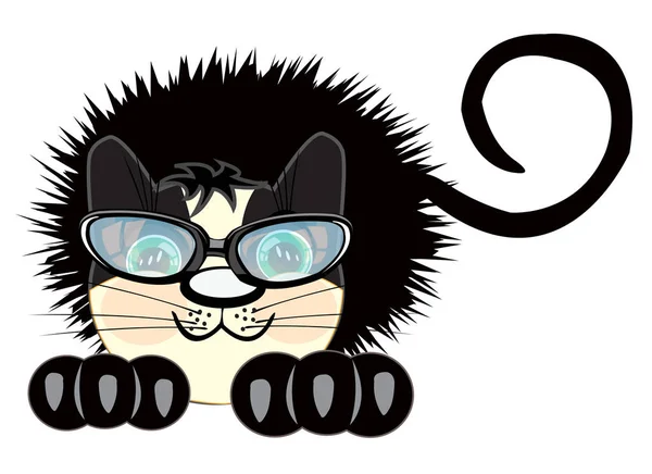 Гофровані чорна кішка — стоковий вектор