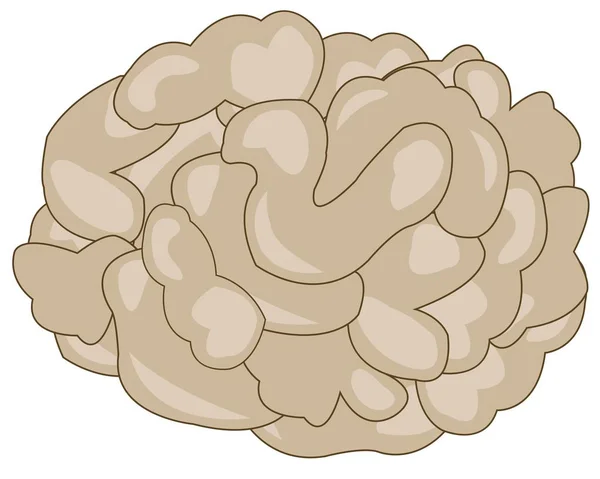 Dibujo del cerebro de la persona — Archivo Imágenes Vectoriales