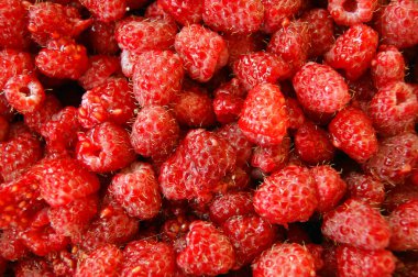 Berry ahududu arka plan