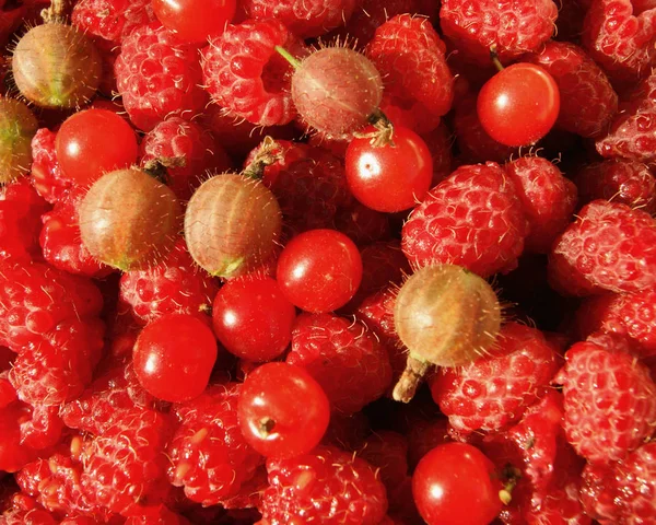 Berries raspberry,gooseberry and cherry — Stock Photo, Image