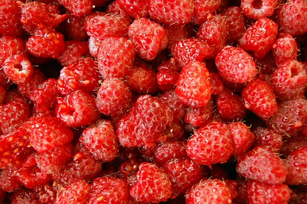 Berry raspberry background — Stock Photo, Image