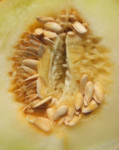 La pulpa del melón vegetal — Foto de Stock
