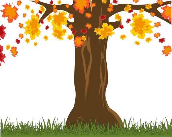 Árbol en glade lanza .Vector ilustración árbol de otoño — Vector de stock