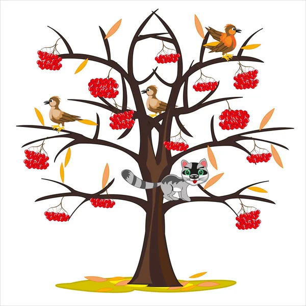 Illustration vectorielle rowanberry arbre à la fin de l'automne — Image vectorielle