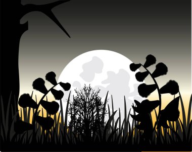 Vahşi doğa ve Ayın yükselişi