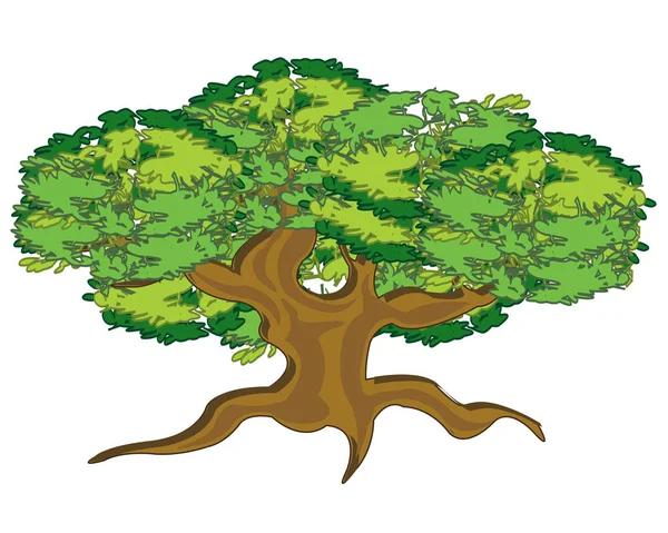 Árbol Grande Rizado Sobre Fondo Blanco Está Aislado — Vector de stock