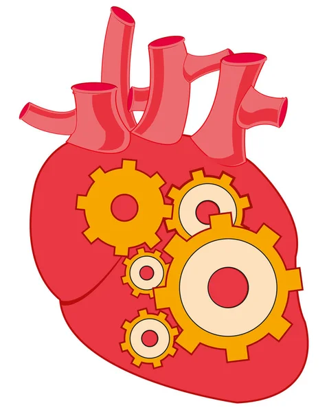 Векторная иллюстрация сердца с внутренним механизмом. — стоковый вектор