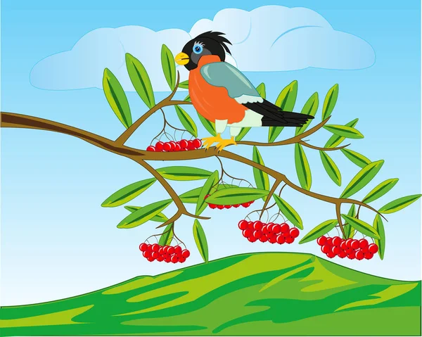 Bird on branch of rowanberry and mountains on back plan — Stock Vector