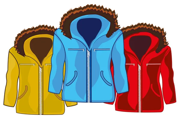三种不同颜色的冬季男式夹克 — 图库矢量图片