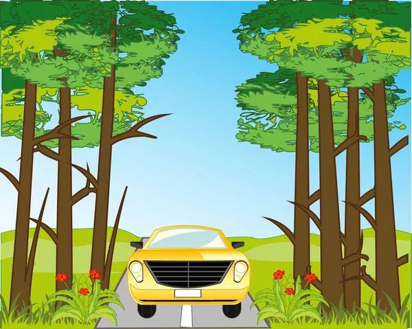 Asphalt road and car among green wood — стоковый вектор