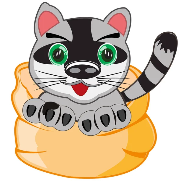 Cartoon Haustiere Tier Katze in bag.vector Illustration — Stockvektor