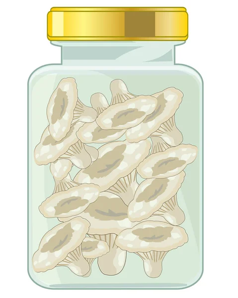 Zoute paddestoelen in glas bank met deksel — Stockvector