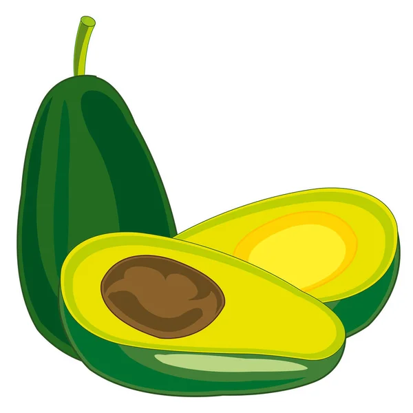 Fruitboom avocado op witte achtergrond is geïsoleerd — Stockvector