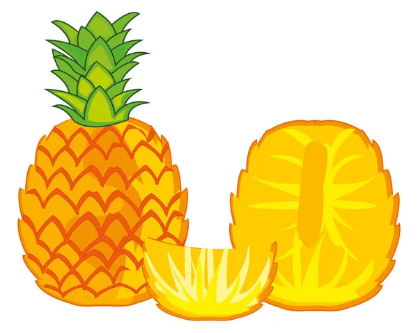 Frukt av ananas på hvit bakgrunn – stockvektor