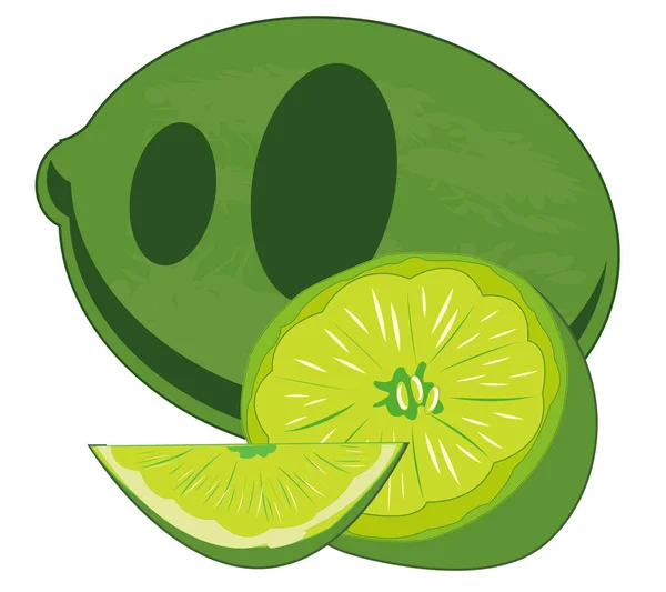 Ilustração Vetorial Limão Fruta Sul —  Vetores de Stock