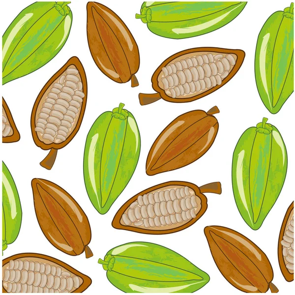 Vector Illustration Decorative Pattern Fruit Cacao Ripe Green — Stock Vector
