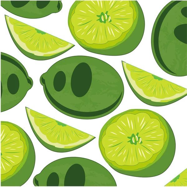 Vector Illustration Decorative Pattern Tropical Fruit Lime — Stock Vector