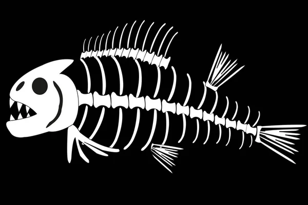 Скелет рыбы на белом фоне изолирован — стоковый вектор