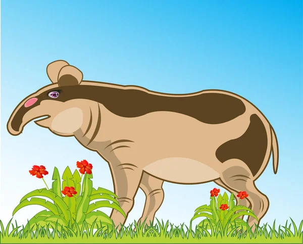 Vida silvestre a Asia tapir en la naturaleza.Ilustración vectorial — Vector de stock