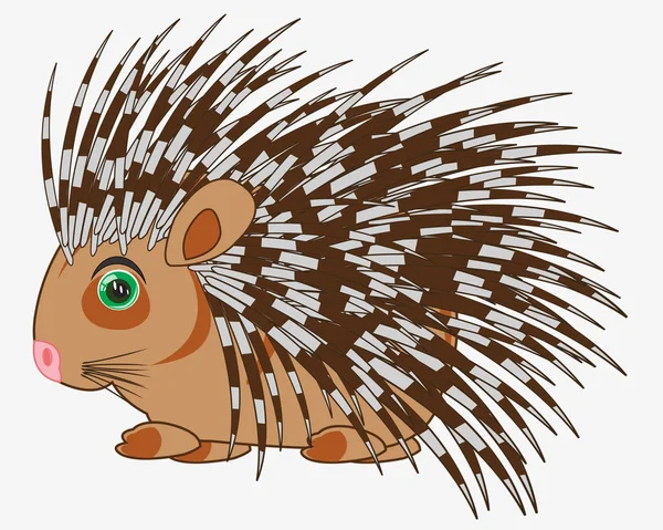 Az állati Porcupine fehér alapon szigetelt — Stock Vector