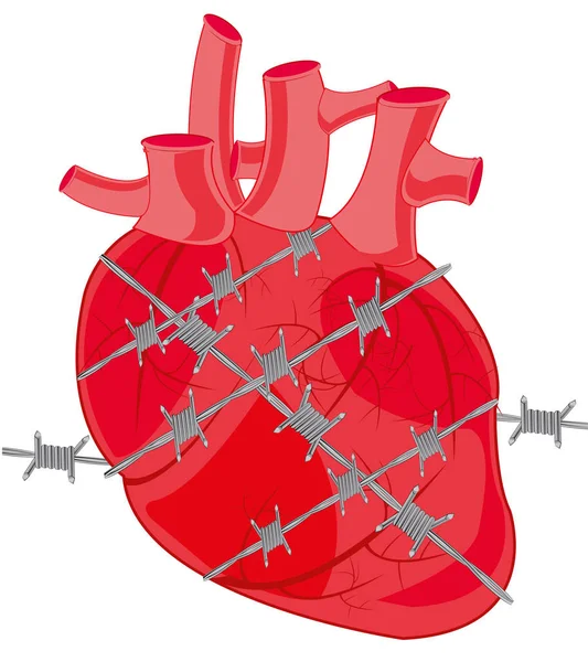 Serce osoby splątane w drut kolczowy — Wektor stockowy
