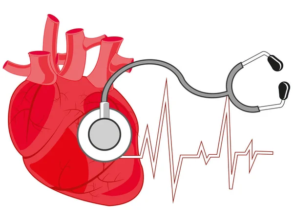 Coeur de la personne et stéthoscope de l'instrument médical — Image vectorielle