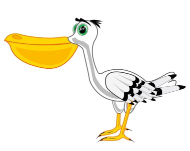 Beyaz arka planda deniz kuşu pelikan yalıtımlı