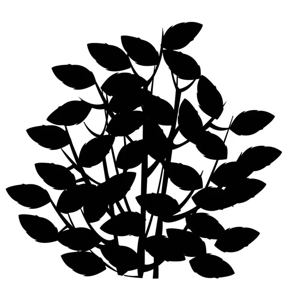 Vector illustratie van het silhouet van de Bush met loof — Stockvector