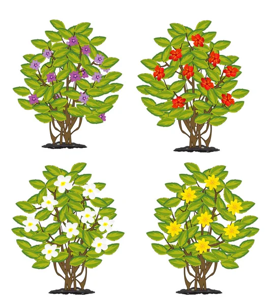 Vektor illustration av buskage med blomma — Stock vektor