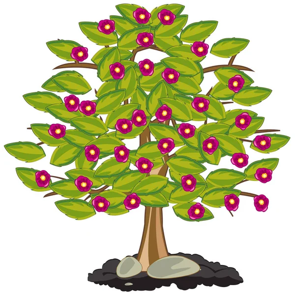 Floração árvore com folhagem verde e rosa flor — Vetor de Stock