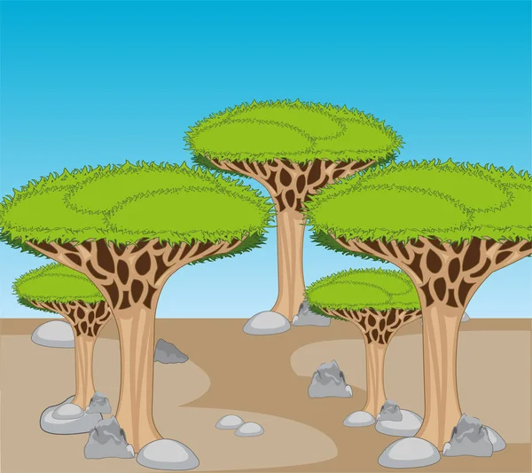 Trockensteinwüste und exotischer Drakonowo-Baum — Stockvektor