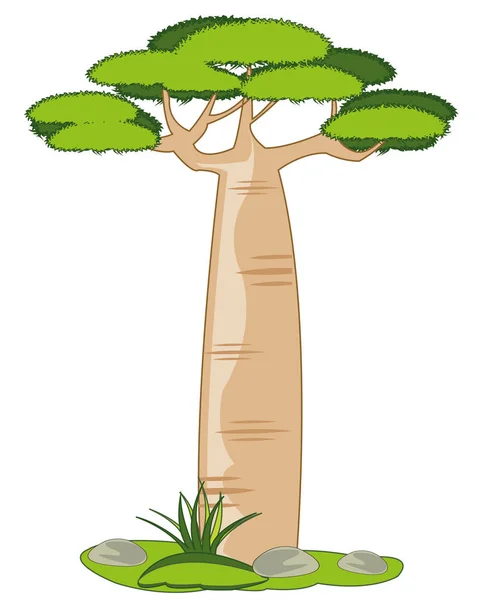 Vector illustratie hoge exotische Afrikaanse boom baobab — Stockvector