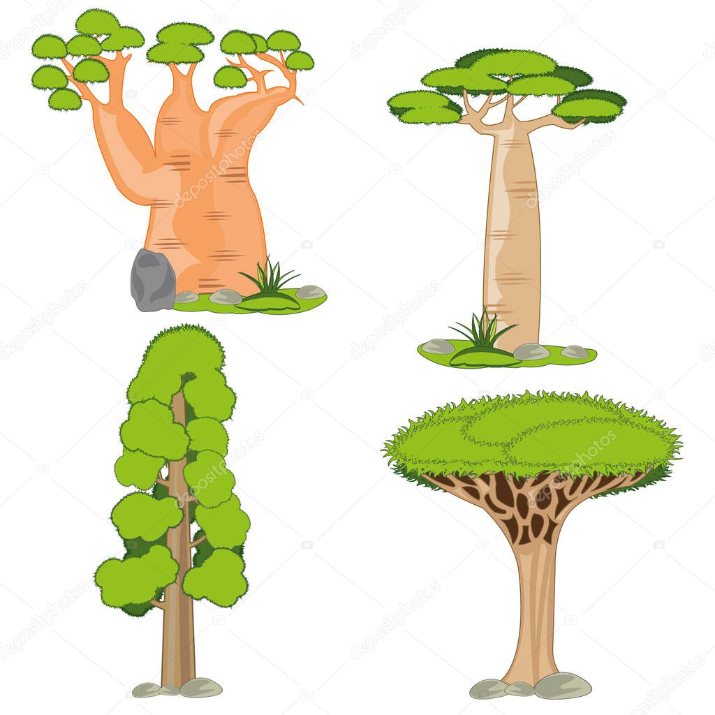 Exotic tree on white background is insulated